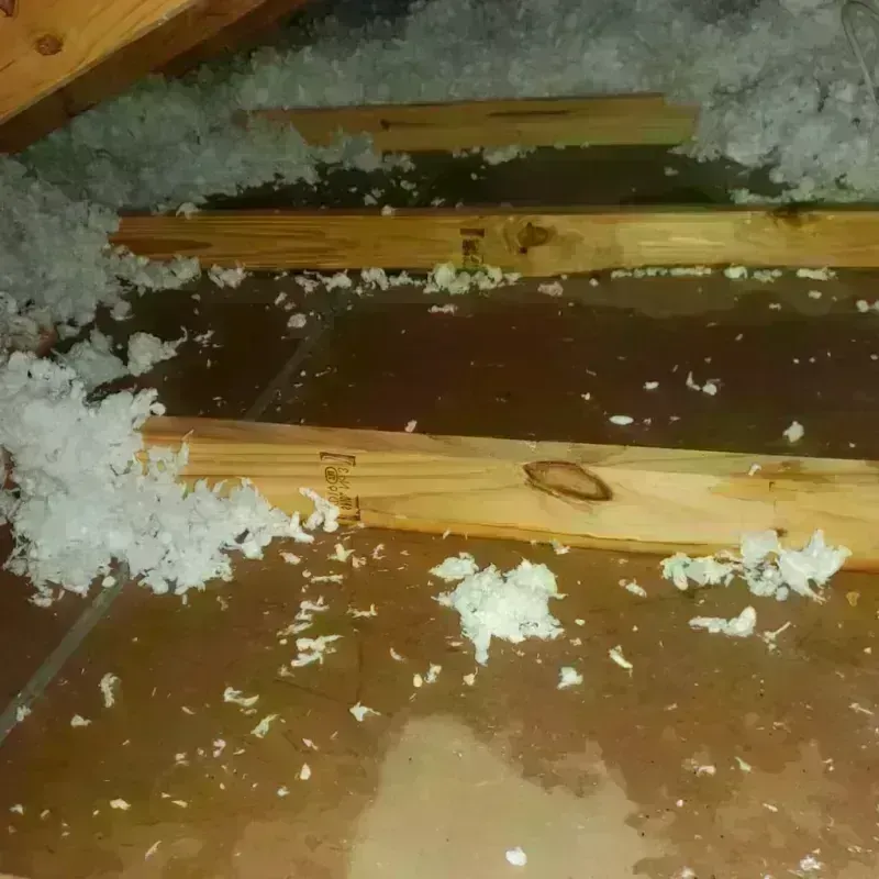 Attic Water Damage in New Castle, NH